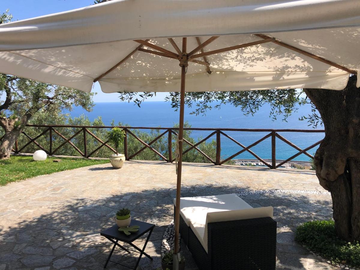 Villa Degli Ulivi B&B Финале Лигуре Экстерьер фото